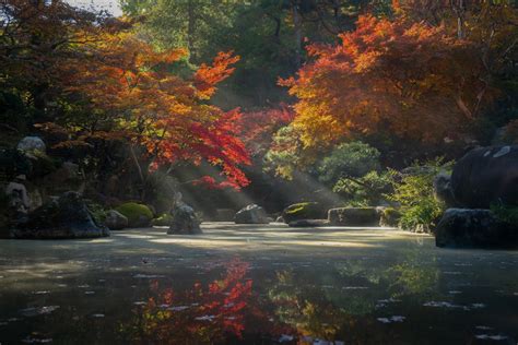 灰色代表什么五行|【灰色五行屬】揭開灰色五行屬性的神秘面紗，一文讓你讀懂